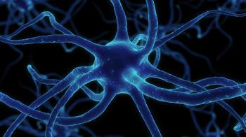 Merkezi Sinir Sistemi ve Kök Hücre Naklinde Nörit Büyüme İnhibitörlerinin Rolü 