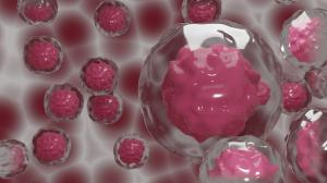 Kanser Kök Hücreleri: Hematopoietik Kök Hücrelerden Lösemik Kök Hücrelere Maceralı Yolculuk