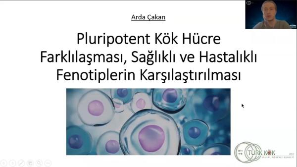 KÖK HÜCRE TEMEL EĞİTİM PROGRAMI: PLURİPOTENT KÖK HÜCRE FARKLILAŞMASI, SAĞLIKLI VE HASTA FENOTİP