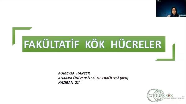 KÖK HÜCRE TEMEL EĞİTİM PROGRAMI: FAKÜLTATİF KÖK HÜCRELER