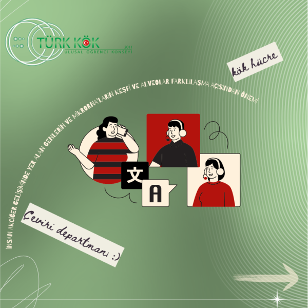 İnsan akciğer gelişiminde yer alan genlerin ve mikroRNA'ların keşfi, IGFBP3/miR-34a dinamiklerini ve bunların alveo...