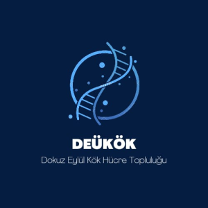 DEUKÖK