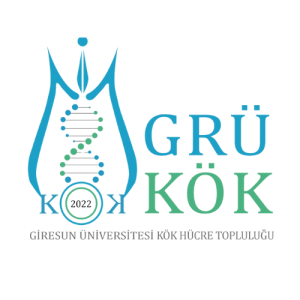 GRÜKÖK