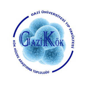 GAZİKÖK